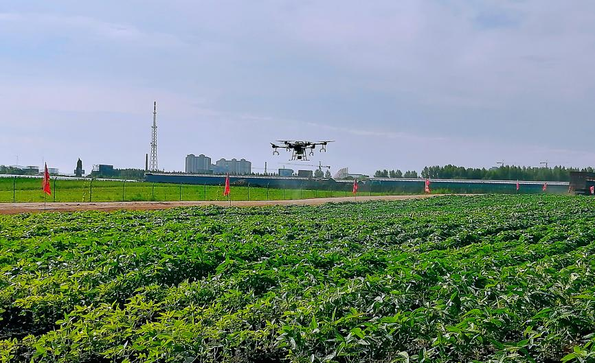 1700118227924794.png 图片2.png